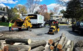 Best Tree and Shrub Care  in Alvarado, TX